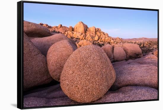 Rock formations on a landscape, Joshua Tree National Park, California, USA-null-Framed Stretched Canvas