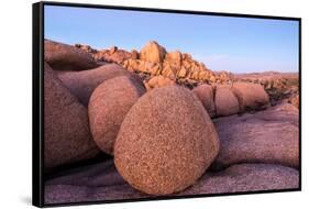 Rock formations on a landscape, Joshua Tree National Park, California, USA-null-Framed Stretched Canvas