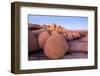 Rock formations on a landscape, Joshua Tree National Park, California, USA-null-Framed Photographic Print