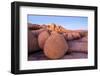 Rock formations on a landscape, Joshua Tree National Park, California, USA-null-Framed Photographic Print