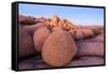 Rock formations on a landscape, Joshua Tree National Park, California, USA-null-Framed Stretched Canvas