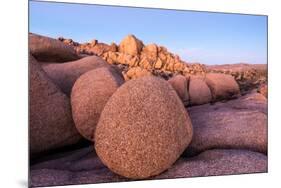 Rock formations on a landscape, Joshua Tree National Park, California, USA-null-Mounted Photographic Print