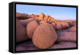 Rock formations on a landscape, Joshua Tree National Park, California, USA-null-Framed Stretched Canvas