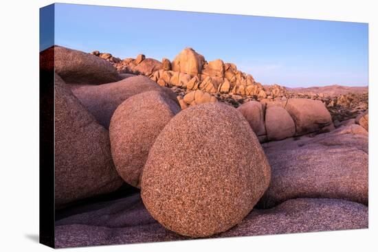 Rock formations on a landscape, Joshua Tree National Park, California, USA-null-Stretched Canvas