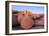 Rock formations on a landscape, Joshua Tree National Park, California, USA-null-Framed Photographic Print