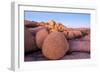 Rock formations on a landscape, Joshua Tree National Park, California, USA-null-Framed Photographic Print