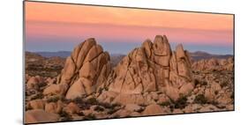 Rock formations on a landscape, Joshua Tree National Park, California, USA-null-Mounted Photographic Print