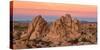 Rock formations on a landscape, Joshua Tree National Park, California, USA-null-Stretched Canvas