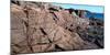 Rock formations on coast, Mount Desert Island, Acadia National Park, Hancock County, Maine, USA-null-Mounted Photographic Print