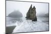 Rock formations on the coast, Cannon Beach, , Pacific Northwest, Oregon, USA-Panoramic Images-Mounted Photographic Print