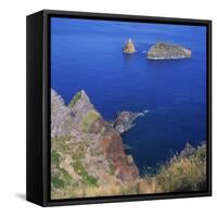 Rock Formations on the Volcanic Coastline on the Island of Graciosa in the Azores, Portugal-David Lomax-Framed Stretched Canvas