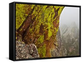 Rock Formations Seen Beyond Lichen Covered Rocks on the First Flatiron Above Boulder, Colorado.-Ethan Welty-Framed Stretched Canvas