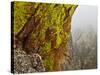 Rock Formations Seen Beyond Lichen Covered Rocks on the First Flatiron Above Boulder, Colorado.-Ethan Welty-Stretched Canvas