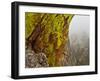 Rock Formations Seen Beyond Lichen Covered Rocks on the First Flatiron Above Boulder, Colorado.-Ethan Welty-Framed Photographic Print