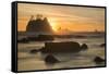 Rock Formations Silhouetted At Sunset On The Pacífic Coast Of Olympic National Park-Inaki Relanzon-Framed Stretched Canvas