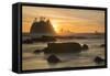 Rock Formations Silhouetted At Sunset On The Pacífic Coast Of Olympic National Park-Inaki Relanzon-Framed Stretched Canvas
