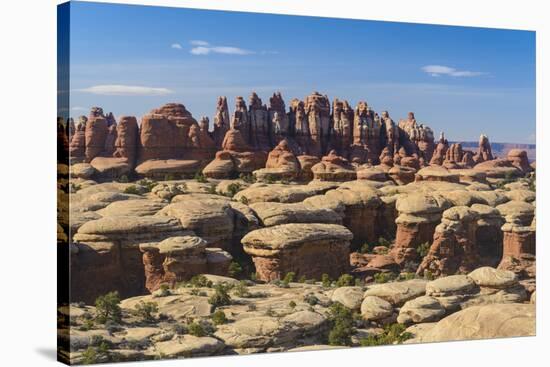 Rock Formations, the Needles Section of Canyonlands National Park, Utah, Usa-Gary-Stretched Canvas