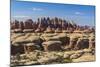 Rock Formations, the Needles Section of Canyonlands National Park, Utah, Usa-Gary-Mounted Photographic Print