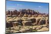 Rock Formations, the Needles Section of Canyonlands National Park, Utah, Usa-Gary-Mounted Photographic Print