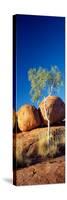 Rock Formations with Ghost Gum Tree, Devil's Marbles, Northern Territory, Australia-null-Stretched Canvas