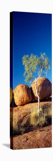 Rock Formations with Ghost Gum Tree, Devil's Marbles, Northern Territory, Australia-null-Stretched Canvas