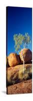 Rock Formations with Ghost Gum Tree, Devil's Marbles, Northern Territory, Australia-null-Stretched Canvas