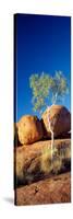 Rock Formations with Ghost Gum Tree, Devil's Marbles, Northern Territory, Australia-null-Stretched Canvas