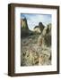 Rock formations-Natalie Tepper-Framed Photo