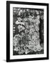 Rock, Fungus, Calligraphy, Japan, 1970-Brett Weston-Framed Photographic Print