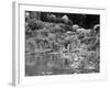 Rock Garden at Rounton Grange, East Rounton, Yorkshire-null-Framed Photographic Print