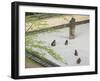 Rock Garden, Portland Japanese Garden, Oregon, USA-William Sutton-Framed Premium Photographic Print