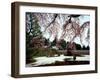 Rock Garden, Shoho-Ji Temple, Japan-null-Framed Photographic Print