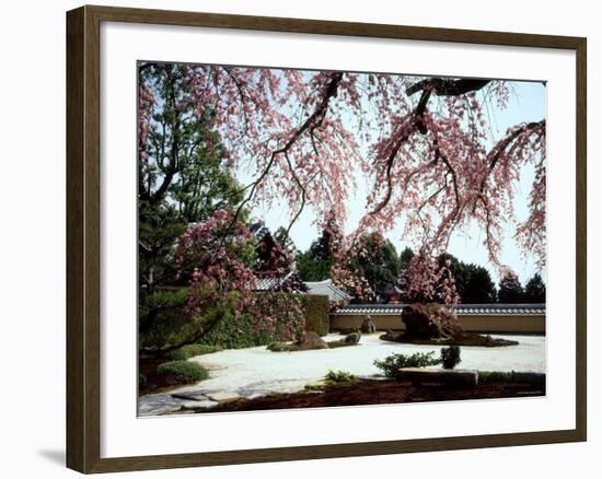 Rock Garden, Shoho-Ji Temple, Japan-null-Framed Photographic Print