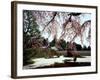 Rock Garden, Shoho-Ji Temple, Japan-null-Framed Photographic Print