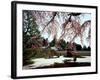 Rock Garden, Shoho-Ji Temple, Japan-null-Framed Photographic Print