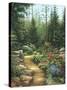 Rock Garden-Lene Alston Casey-Stretched Canvas