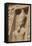 Rock-Hewn Statue of Ramses Ii-Richard Maschmeyer-Framed Stretched Canvas