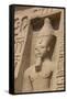 Rock-Hewn Statue of Ramses Ii-Richard Maschmeyer-Framed Stretched Canvas