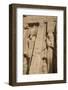 Rock-Hewn Statues of Ramses Ii on Left-Richard Maschmeyer-Framed Photographic Print