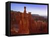 Rock Hoodoos, Thor's Hammer in Bryce Amphitheatre, Bryce Canyon National Park, Utah, USA-Gavin Hellier-Framed Stretched Canvas