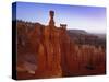 Rock Hoodoos, Thor's Hammer in Bryce Amphitheatre, Bryce Canyon National Park, Utah, USA-Gavin Hellier-Stretched Canvas