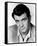 Rock Hudson-null-Framed Stretched Canvas