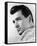 Rock Hudson-null-Framed Stretched Canvas