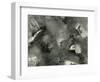 Rock, Ice, Grass, 1954-Brett Weston-Framed Photographic Print