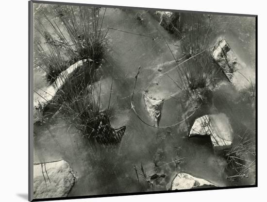 Rock, Ice, Grass, 1954-Brett Weston-Mounted Photographic Print