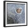 Rock in a Frozen River-Micha Pawlitzki-Framed Photographic Print