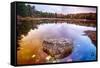 Rock in a Pond, Acadia National Park, Maine-George Oze-Framed Stretched Canvas