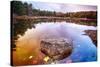 Rock in a Pond, Acadia National Park, Maine-George Oze-Stretched Canvas