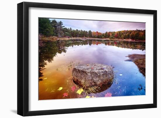 Rock in a Pond, Acadia National Park, Maine-George Oze-Framed Photographic Print