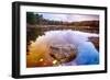 Rock in a Pond, Acadia National Park, Maine-George Oze-Framed Photographic Print